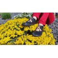 Saltic Arwen black nappa