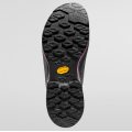 La Sportiva TX4 Evo Women GTX carbon/springtime