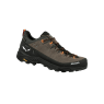 Salewa ALP TRAINER 2 GTX M bungee cord/black